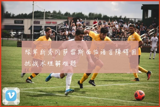 绿军新秀冈萨雷斯面临语言障碍困扰战术理解难题