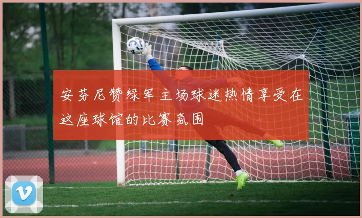 安芬尼赞绿军主场球迷热情享受在这座球馆的比赛氛围